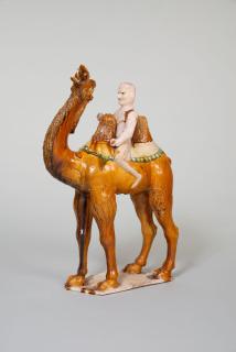 Camel and Rider